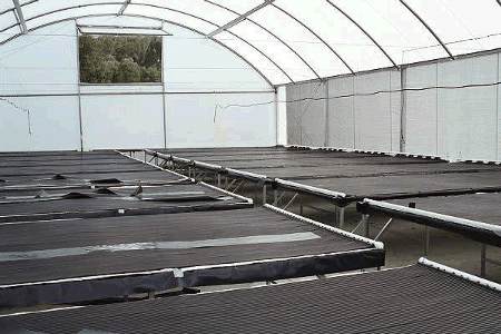Greenhouse Heating Solazone Australia