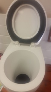 Palisade toilet pedestal showing seat seal. Palisade toilet pedestal showing seat seal.