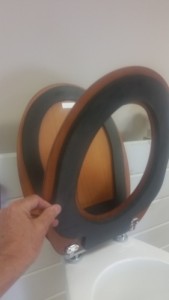 Compost Toilet Seat